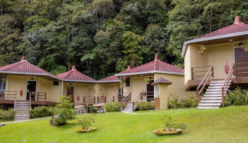 Hill Lodge King