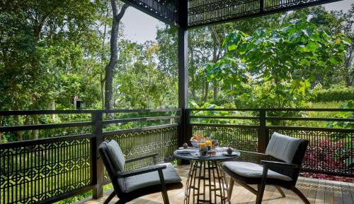 Rainforest Junior Suite