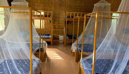 Bed in 8-Bed Mixed Dormitory Room
