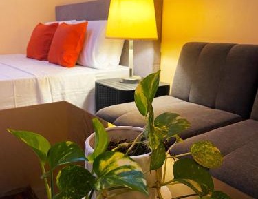 Standard Double Room with Shared Bathroom