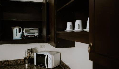 One-Bedroom Premier