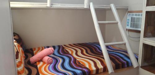 4-Bed Mixed Dormitory Room