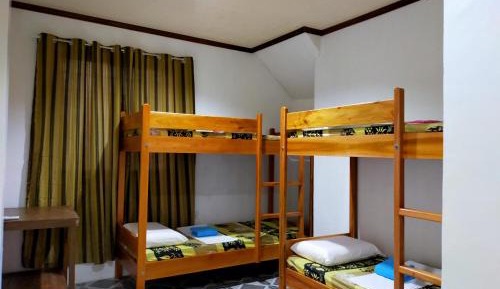 Bunk Bed in Mixed Dormitory Room