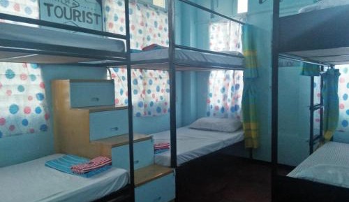 Bunk Bed in Mixed Dormitory Room