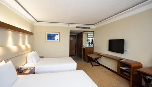 Deluxe Double or Twin Room with Mountain View