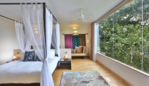 Rainforest Suite