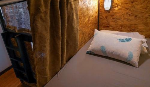 Double Bed in Mixed Dormitory Room 