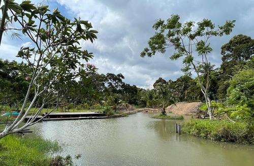 Malacca City Other | Paku Pakis Tiny Stay