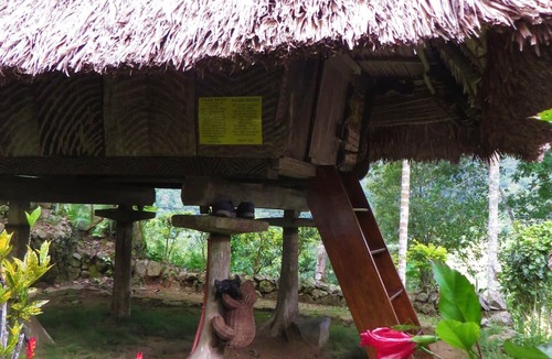Banaue House | Native Village Inn