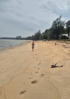 Cherating Hotel | The Nest