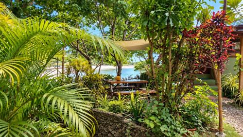 San Francisco Island Apartment | Malaika Bay Hideaway