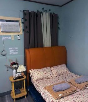 Puerto Princesa City Centre Hotel | Frogman inn