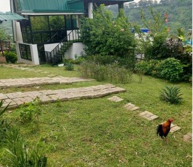 Tagaytay Cabin | Camp Zion Tagaytay Nature Retreat near Crosswinds Palace in the Sky Alta D Tagaytay