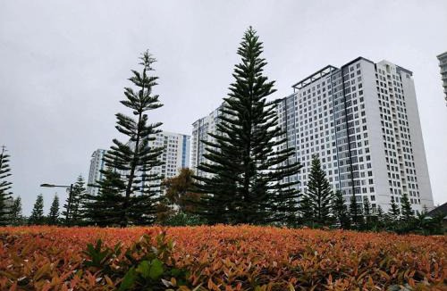 Silang Junction South Apartment | Alleia's Place at SMDC Tagaytay