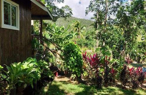 Puerto Princesa House | Lar'amar Hillside Studio Cabin for 2