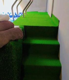 Malacca City Hostel | Pirate's Cove