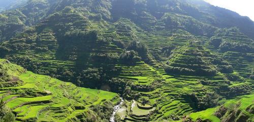 Banaue Hostel | Koreen Guesthouse Center Banaue