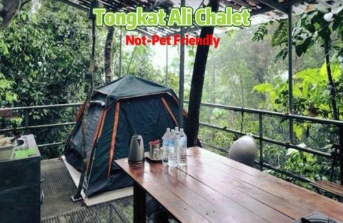 Bentong Other | Gibbon Retreat Bentong