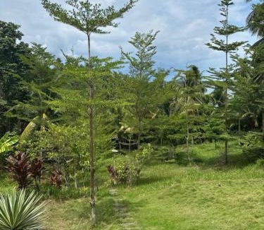 Pilar Bed & Breakfast | Villa Kulintang