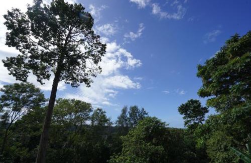 Morong Apartment | Vine and Canopy