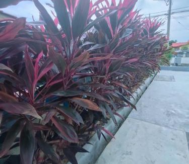 Mersing House | Seri Mersing Villa A