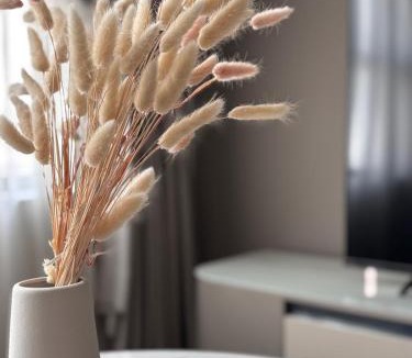 Subang Jaya Apartment | Southplace Subang with Lake Park View