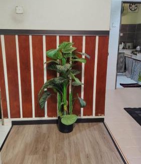 Mentakab House | MQ Homestay
