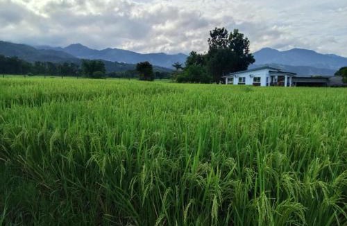Solsona Villa | Balay Diay Away