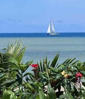 Sipalay Apartment | Buddy's Beach House Sipalay