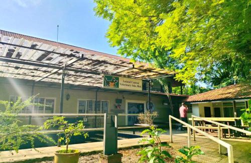 Kuching Cabin | The Doctor's Stay