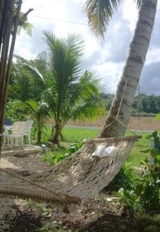 Carmen House | Bamboo Garden Tourist Inn