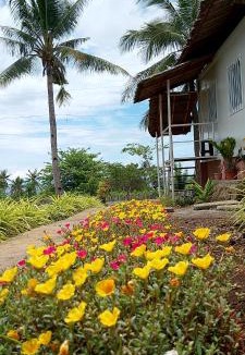 Anda Resort | Anda Container House