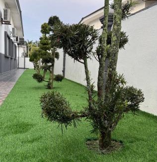 Teriang House | Semi-D Homestay Triang