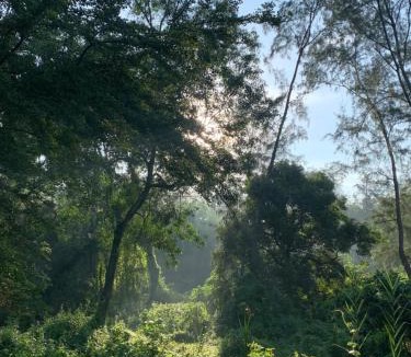 San Felipe House | Uwak Gallery