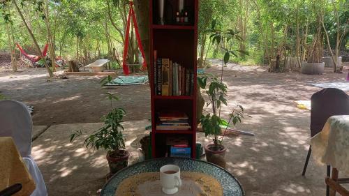 Luna Other | WELLNESS & FITNESS IN LIFE LA UNION fan kubo 4 pax 1 min to beach