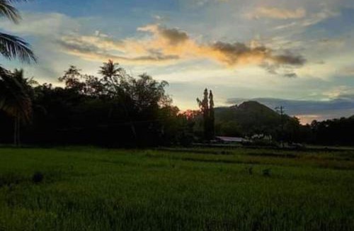 Carmen House | Bamboo Garden Tourist Inn