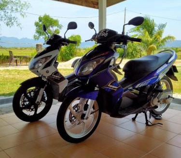 Kampung Kedawang House | villa tempoyak homestay