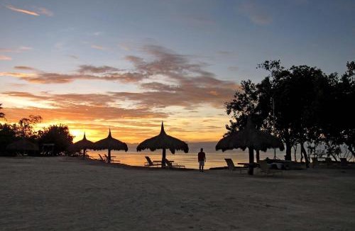 Danao Resort | Bluewater Panglao Beach Resort