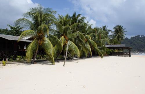 Tioman Island Hotel | BUSHMAN TIOMAN