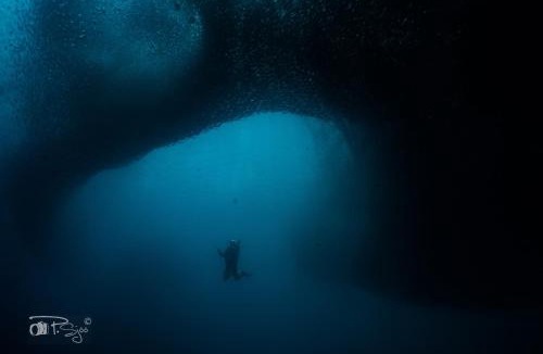 Basdiot Cabin | Divers Lodge Moalboal