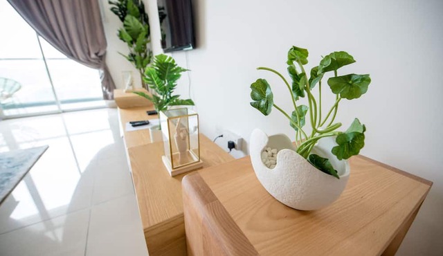 The Rumah @BM City 3 Bedroom(Urban jungle) in Bukit Mertajam