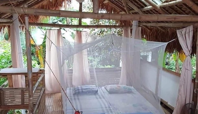 Dream-Big Eco Hostel