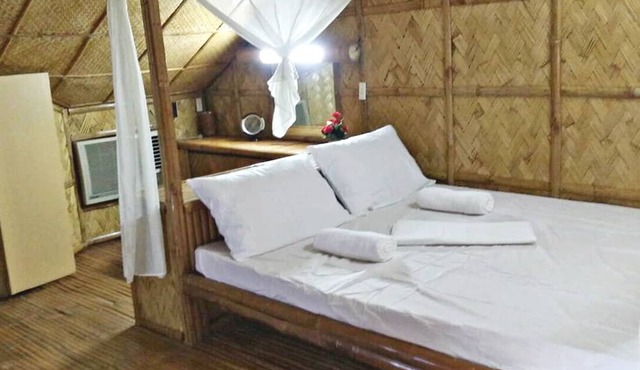V House