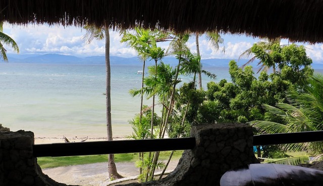 The Wild Orchid Resort - Moalboal in Moalboal