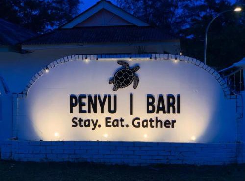 Penyu Bari