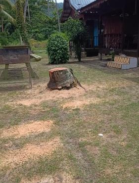 Pak Long Chalet Salang Tioman