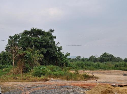 Teratai Villa in Arau