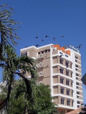 La Maja Rica Hotel in Tarlac