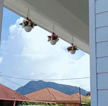Lu&Lu Rooms & Homestay