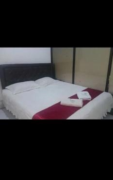 kiwi budget hotel